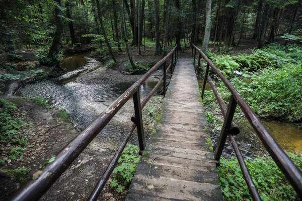 Rezerwat obok Parku Zastawie Rezerwat obok Parku Zastawie